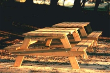 Taules de pic-nic zona Sala Gran