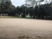 Camp de futbol